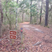 The trails were well marked.