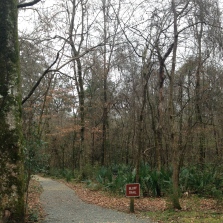 Bluff Trail entrance.