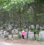 Very interesting rocks and trees!