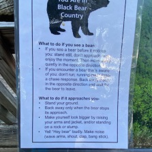 We didn't see any evidence of bears on or near the trail. But we were all eyes and ears for them.